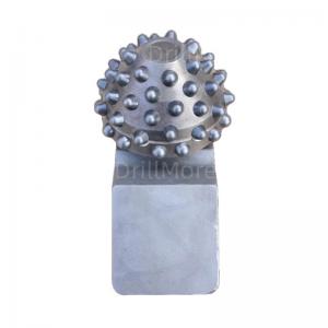 Replaceable roller bits